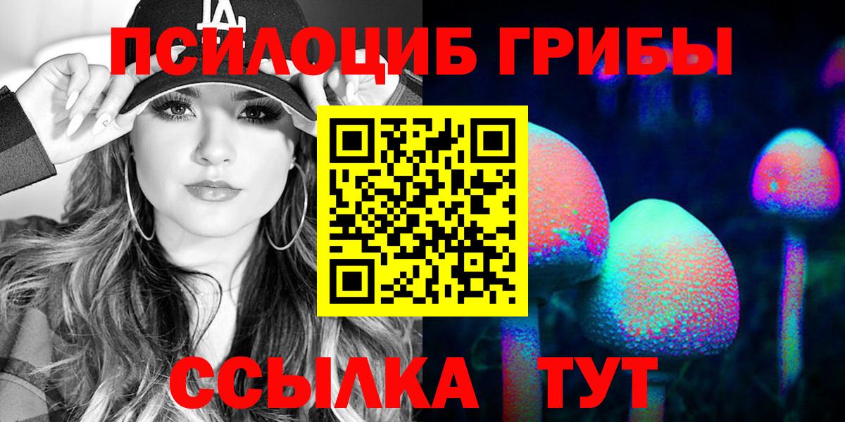 Галлюциногенные грибы Psilocybe Стерлитамак