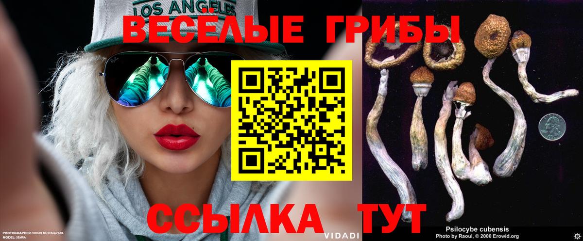 Псилоцибиновые грибы GOLDEN TEACHER  Вход с VPN  купить  сайты  Стерлитамак  Галлюциногенные грибы мухоморы 